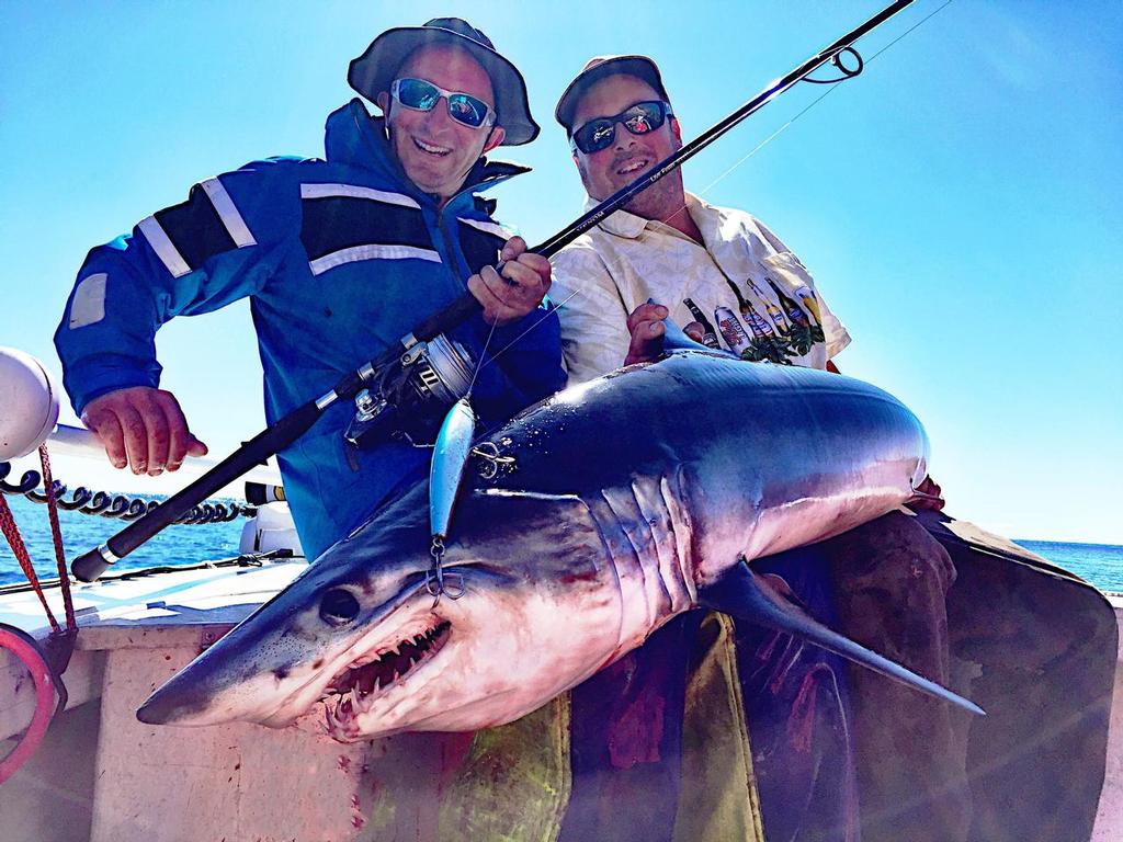 Josh Hay with a mako taken on Stickbait. © Carl Hyland